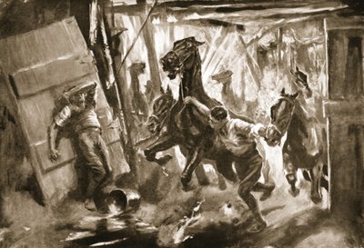 Provisional Farrier-Sergeant Cussens Extricating Horses from Stables in Which a Shell Had Burst by Howard K. Elcock